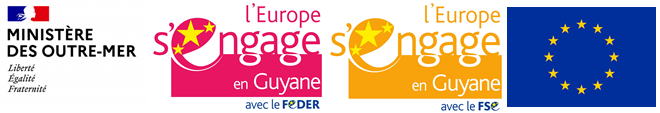 logo MOM Europe